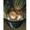 РЕПРОДУКЦИИ НА КАРТИНИ Градинарят (Портрет със зеленчуци) (1587)